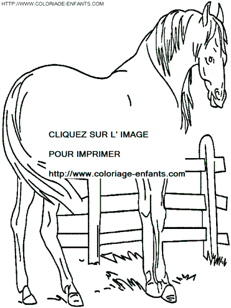coloriage cheval dans son enclos