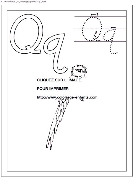 coloriage ecriture 1 lettre q comme quetzal