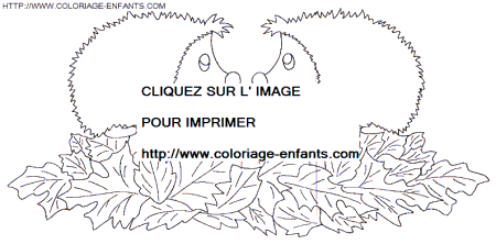 coloriage herissons