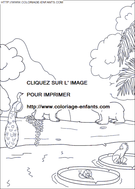 coloriage Heros Plume Ours Polaire