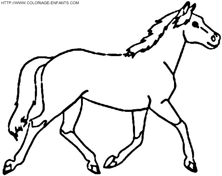 coloriage cheval au trot