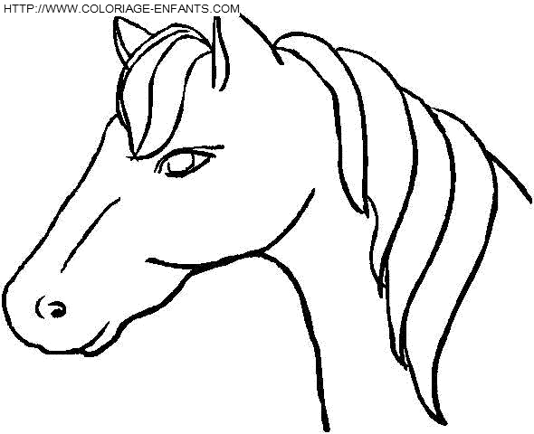 coloriage cheval portrait