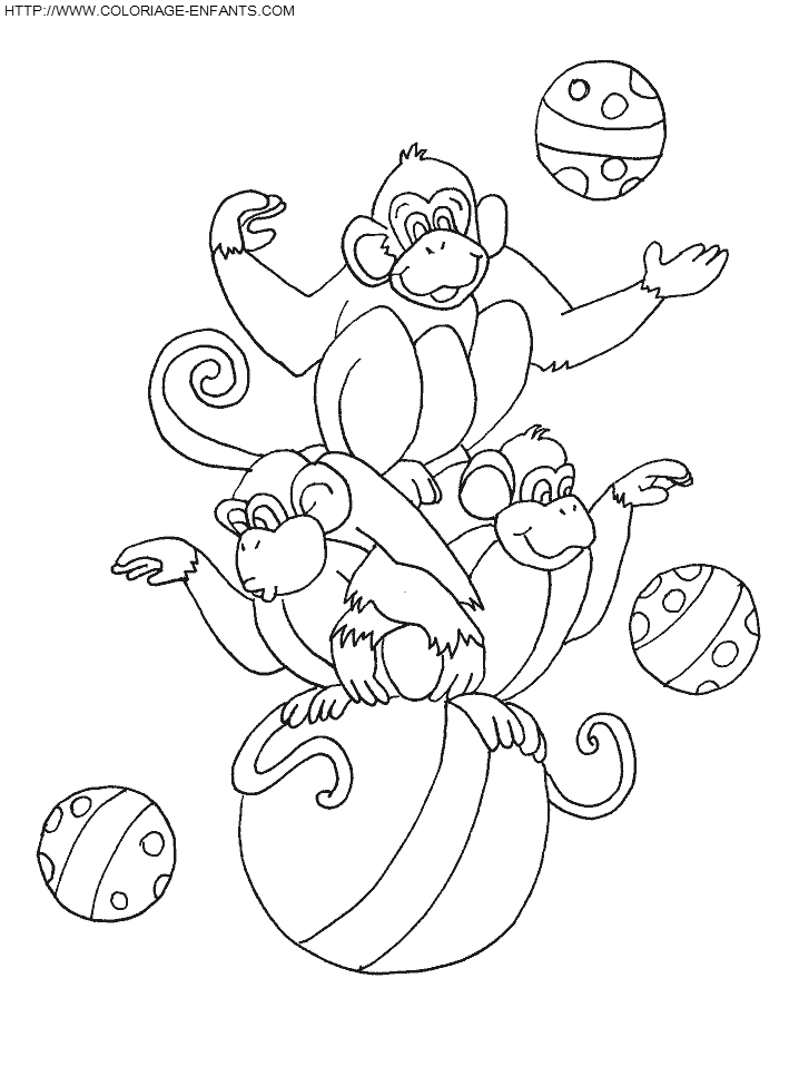 coloriage cirque singes jongleurs