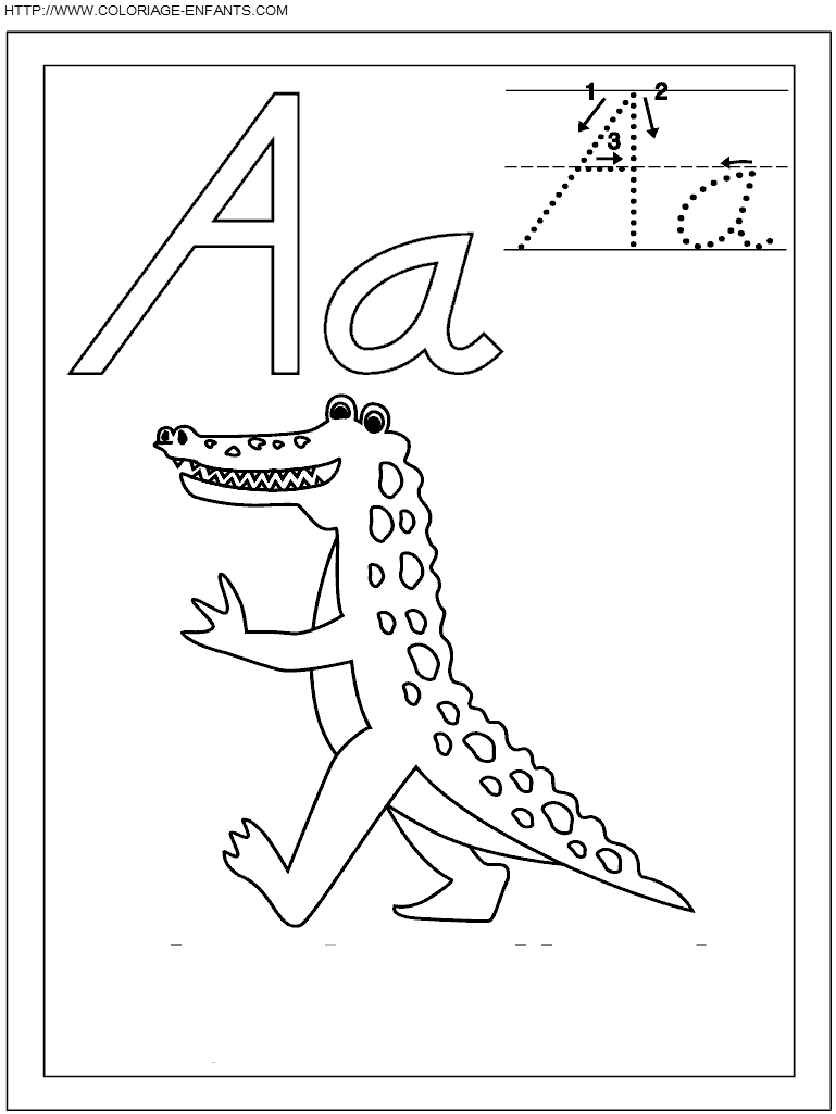 coloriage ecriture 1 lettre a comme alligator