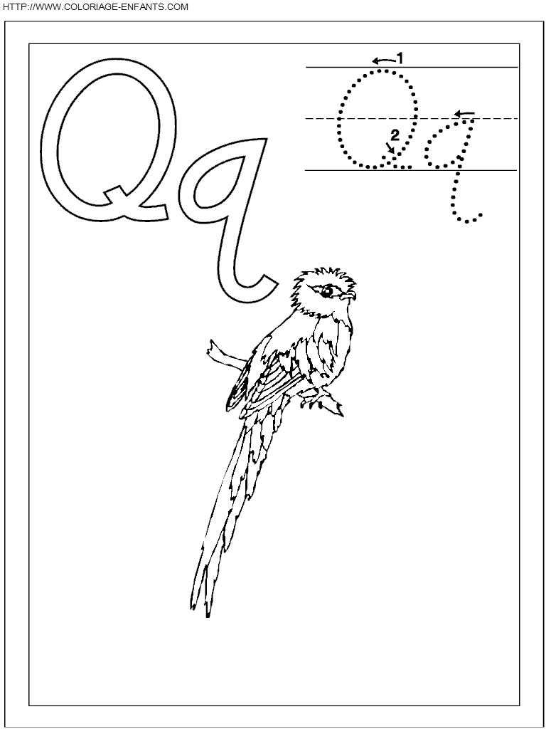 coloriage ecriture 1 lettre q comme quetzal