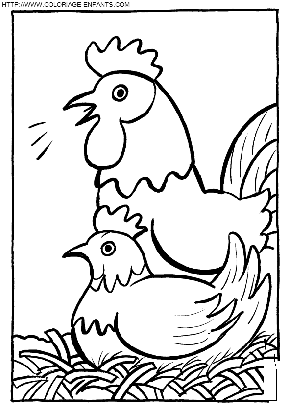 coloriage poules