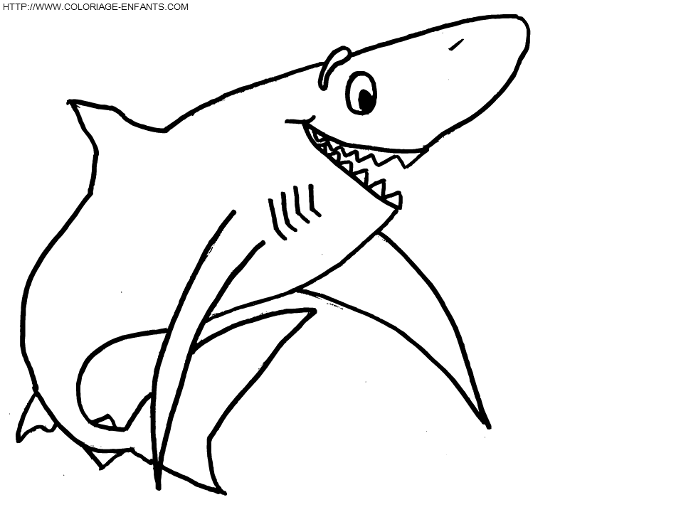 coloriage requin rigolo