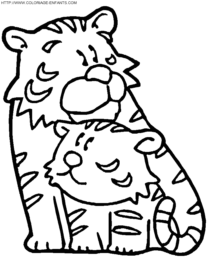 coloriage tigre 4e dessin enfant