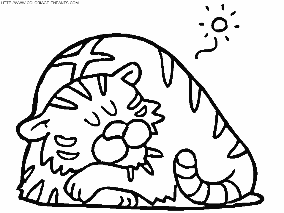 coloriage tigre 5e dessin enfant